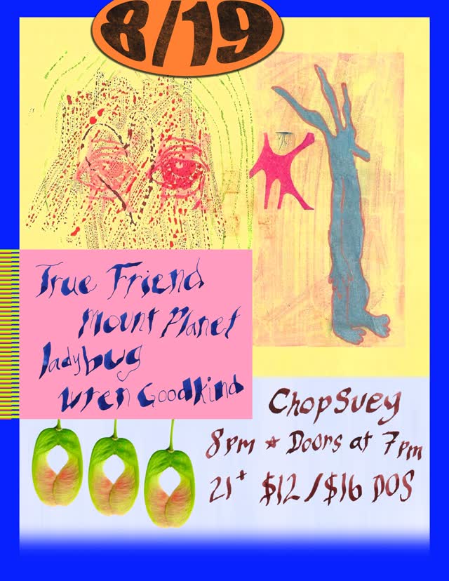 8/19 at Chop Suey featuring t.r.u.e.f.r.i.e.n.d, mountplanet, dontforgetladybug, and wren.the.birb