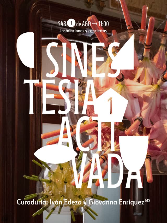 Sinestesia Activada 1